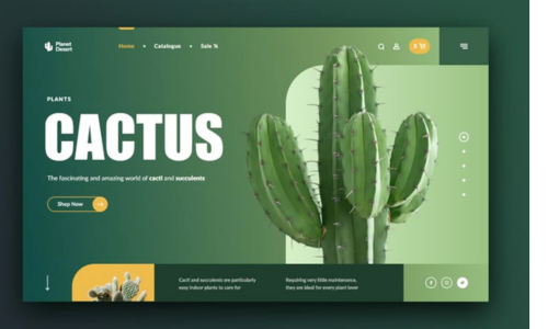 Mastering Modern Web Development: Trends & Technologies